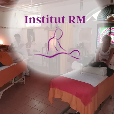 Institut RM logo